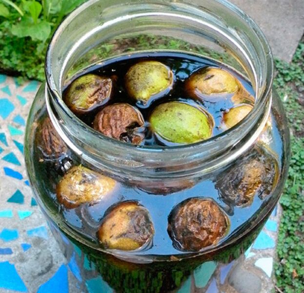 infuzie de nuca verde impotriva parazitilor