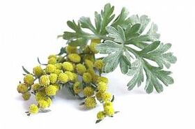 extract de pelin în NEOflorax